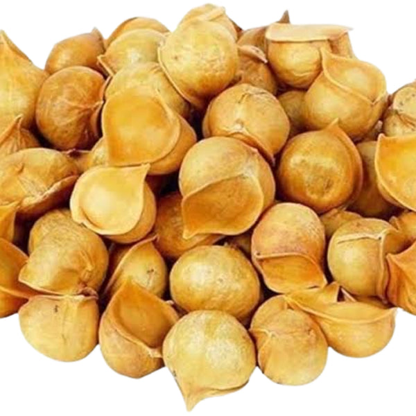 Kashmiri Mountain Garlic/ Ek Kali Lehsun